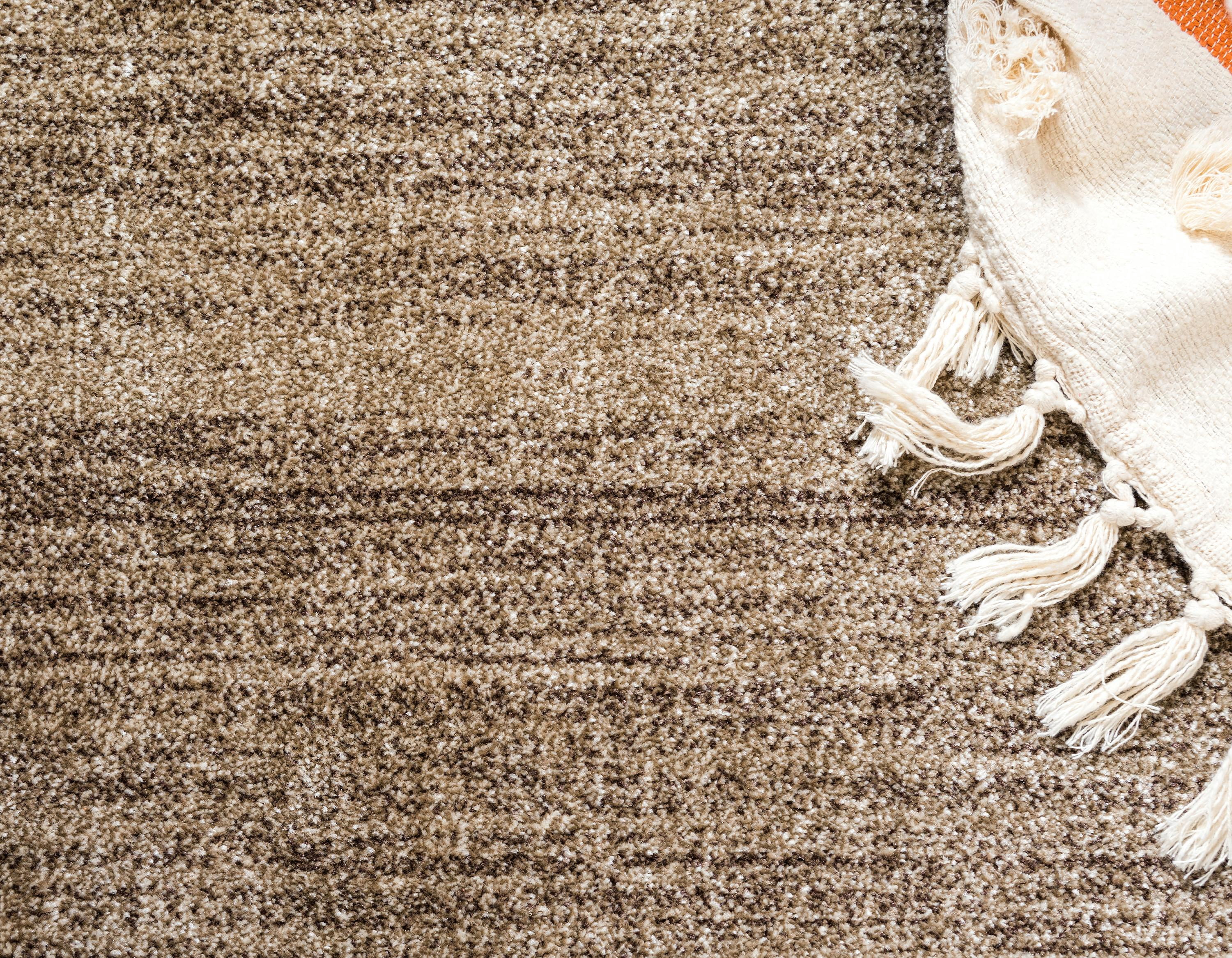 Unique Loom Del Mar Collection Area Rug - Maria (8' x 11' Rectangle Light Brown/Ivory)