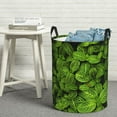 thumbnail image 6 of Easygdp Tiny Green Fern Leaves Large Dirty Clothes Hamper, Lightweight Storage Basket, Household Laundry Bag with Handle-Small, 6 of 6