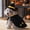 Black, variant on QLUEWX Dog Halloween Costume Cape, Adjustable Pet Wizard Vampire Cloak with Bow Tie for Small Medium Dogs Halloween Party Cosplay Outfit,21.65 x 18.9 Inch
