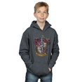 thumbnail image 2 of Harry Potter Boys Gryffindor Distressed Crest Hoodie, 2 of 3