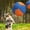 Orange, variante sur Ensemble de Jouets Gonflables pour Chien 18 Pouces Jouet de Troupeau pour Chiens et Chevaux - Jeu Interactif Durable pour Animaux de Compagnie pour Chiens de Bétail et Toutes Races de Troupeau