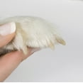 Oster Premium Pet Nail Trimmer and Grinder for Cats & Dogs