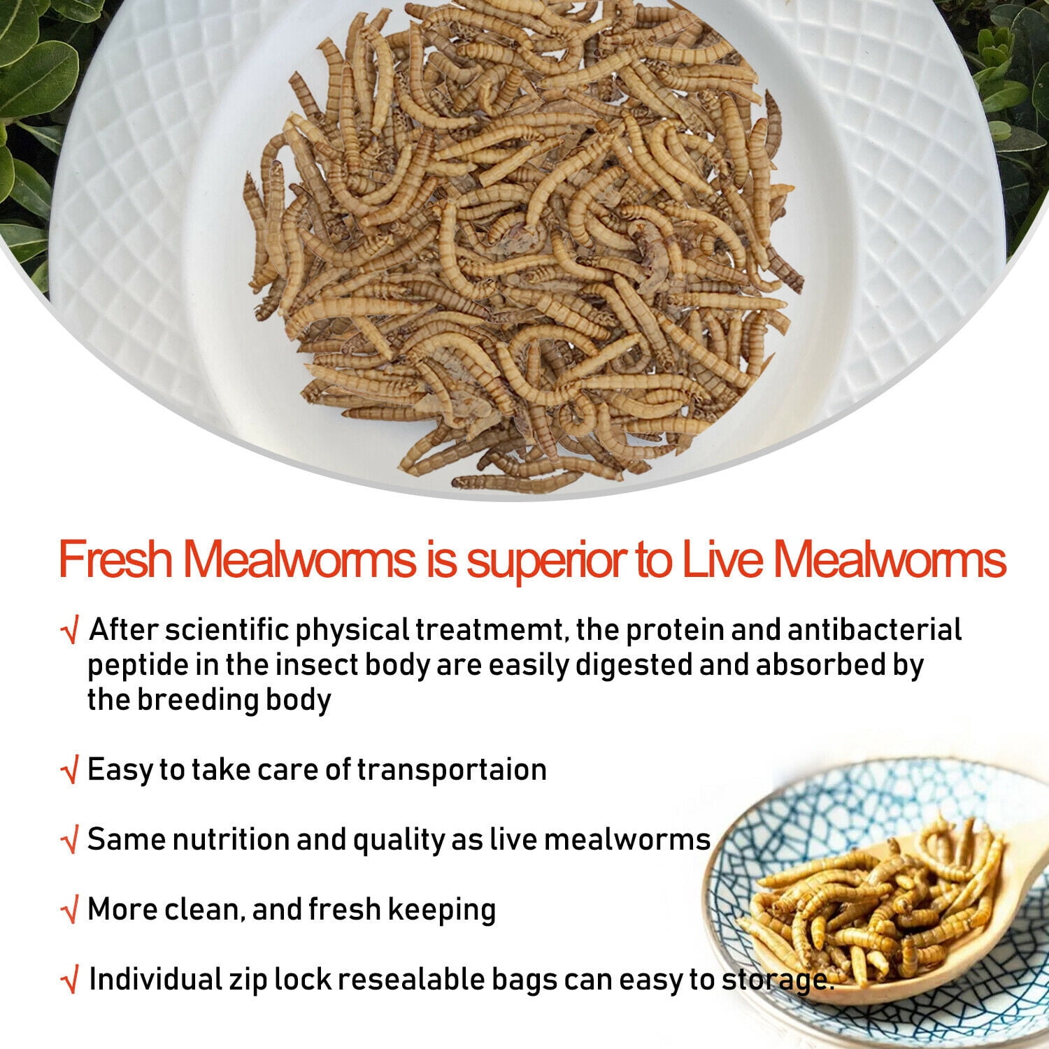 Amzey 2 Pack 8.4 oz 100% Non-GMO Fresh Mealworms, High-Protein Treats for Duck, Fish, Turtle, Chicken, Wild Bird, Crested Gecko, Reptile Food, 16.8 oz (24 Bags)