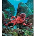 thumbnail image 2 of Puppet Red Octopus (Other), 2 of 3
