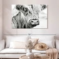 thumbnail image 2 of Elephant Stock Long Haired Cow Wall Art - Horizontal Canvas Wall Art - Living Room Wall Decor - Animal Canvas - Gray And White Decor - 48" x 32", 2 of 8