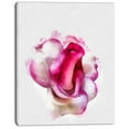 thumbnail image 2 of Rose Rouge avec Aquarelle Blanche - Impression sur Toile Florale, 2 of 3