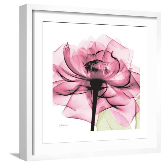 Art.com Rose Pink Art Print by Albert Koetsier, White Frame Wall Art, 21" x 21"