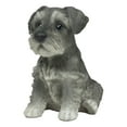 Realistic Miniature Schnauzer Puppy Statue 6.5"Tall Animal Dog