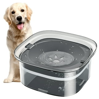 Neater Pets Giant Bowl for Large Dogs - Great for Multi-Pet Households -  Extra Large Plastic Trough Style Food or Water Bowl for Use Indoors or  Outdoors, Aquamarine, 2.25 Gallon (288 Oz.) 