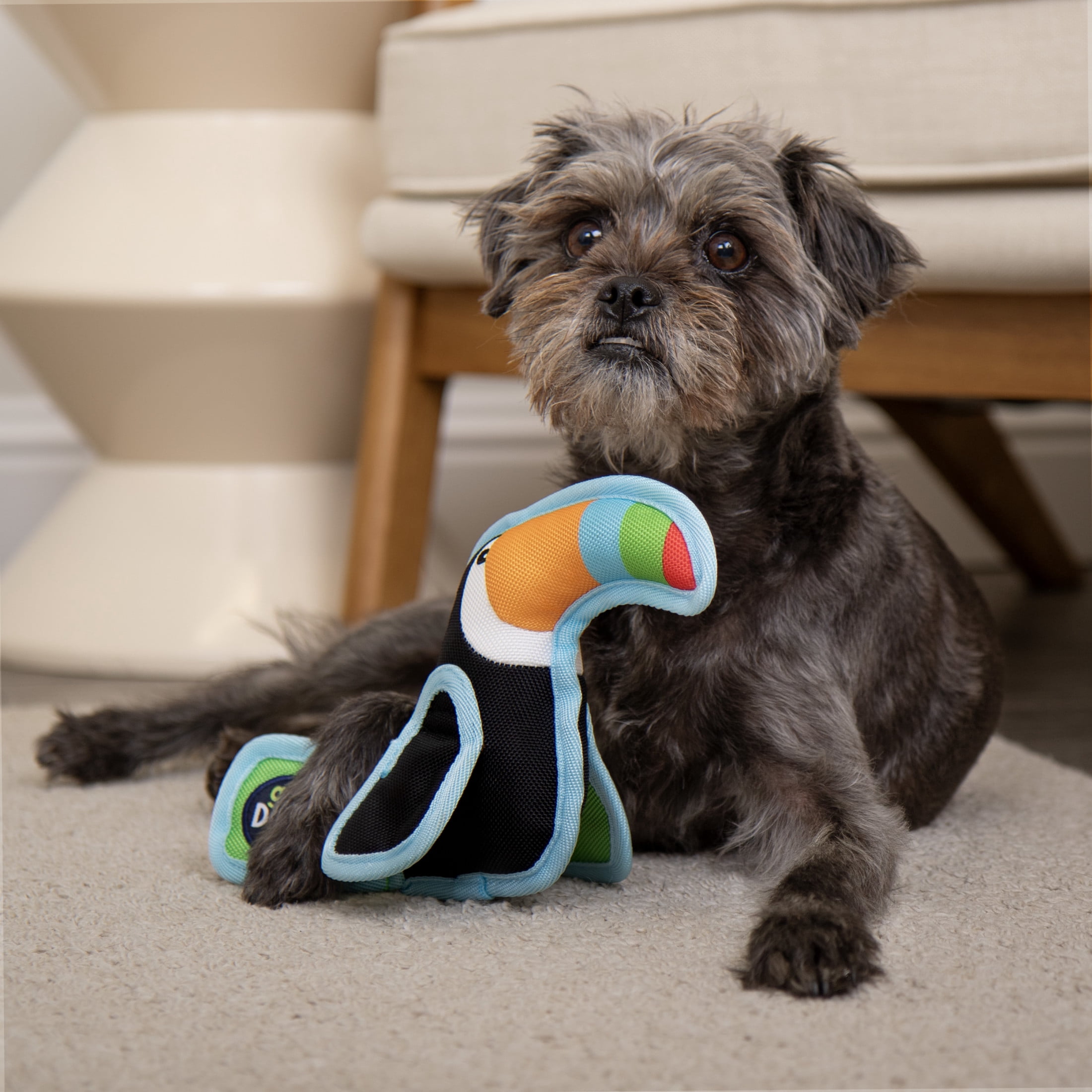 goDog Flap 'N Fun Tico Toucan Squeaky Dog Toy, Plush with Chew Guard Technology, Black, Large