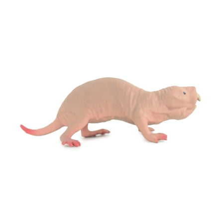 Naked Mole Rat, Desert mole, Museum Quality, Educational, Hand Painted, Rubber Animal, Realistic, Diorama, Toy, Kids, Gift, 3 1/2 Inches. CH805 BB188