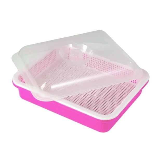 Bandeja germinadora de semillas, Kit de germinación de semillas para cultivador de , contenedor de germinación de hidropónicas Rosa
