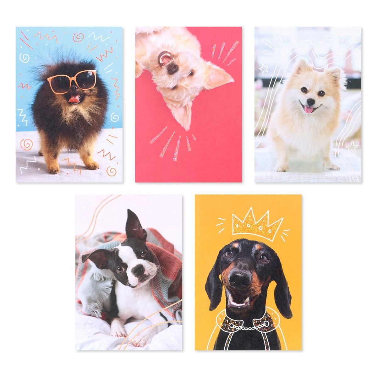 American Greetings 15-Count Blank Cards and Envelopes Assortment Box, Funny Dogs