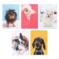 thumbnail image 2 of American Greetings 15-Count Blank Cards and Envelopes Assortment Box, Funny Dogs, 2 of 7