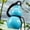 Blue-Free Size/BU, variant on Bathroom Suction Cup Storage Rack, No Drill Wall Mounted Organizer for Cosmetics Toiletries, Waterproof Storage Shelf for Bathroom Kitchen Bedroom Balcony Washstand Shower Area Home Organization