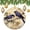 pattern-1392, variant on Christmas Tree Ornament Two Birds Sitting On A Purple Vine Xmas Tree Ornaments Fly Birds with Flowers Ornament Christmas Ornaments for Christmas Tree Decorations