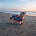 thumbnail image 2 of Vibrant Life Polyester Lobster Dog T-Shirt, Gray, XXS, 2 of 3