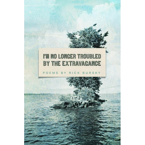 I'm No Longer Troubled by the Extravagance (Paperback)