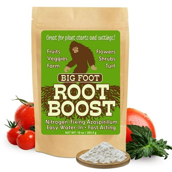 Big Foot Probiotic Root Boost Water Soluble Powder For Established Plants and Transplants - GROW ROOT SIZE, Increase Nitrogen, Grow New Plants from Cuttings, Pea Inoculant - 10 Ounces