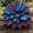 c, variant on Rainbow Hosta Bulk-Garden Stake for Outdoor Decoration-Accent-for Patio and Walkways