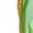 White, variant on Corn 7 Printed 2 in 1 Women's Workout Shorts for Athletic Gym Running Shorts with Phone Pockets-