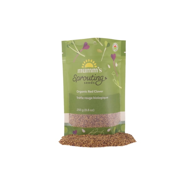 Organic Red Clover (Tréfle Rouge) Sprouting Seeds, Mumm's, Large Size: 250 Grams, Non-GMO - Product of Canada - High Germinatio