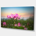 thumbnail image 3 of Design Art - Blooming Lotus Flowers at Sunset, 3 of 3