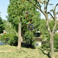 Wind Chimes Outdoor Clearances, Butterflies Aluminum Tube Windchime