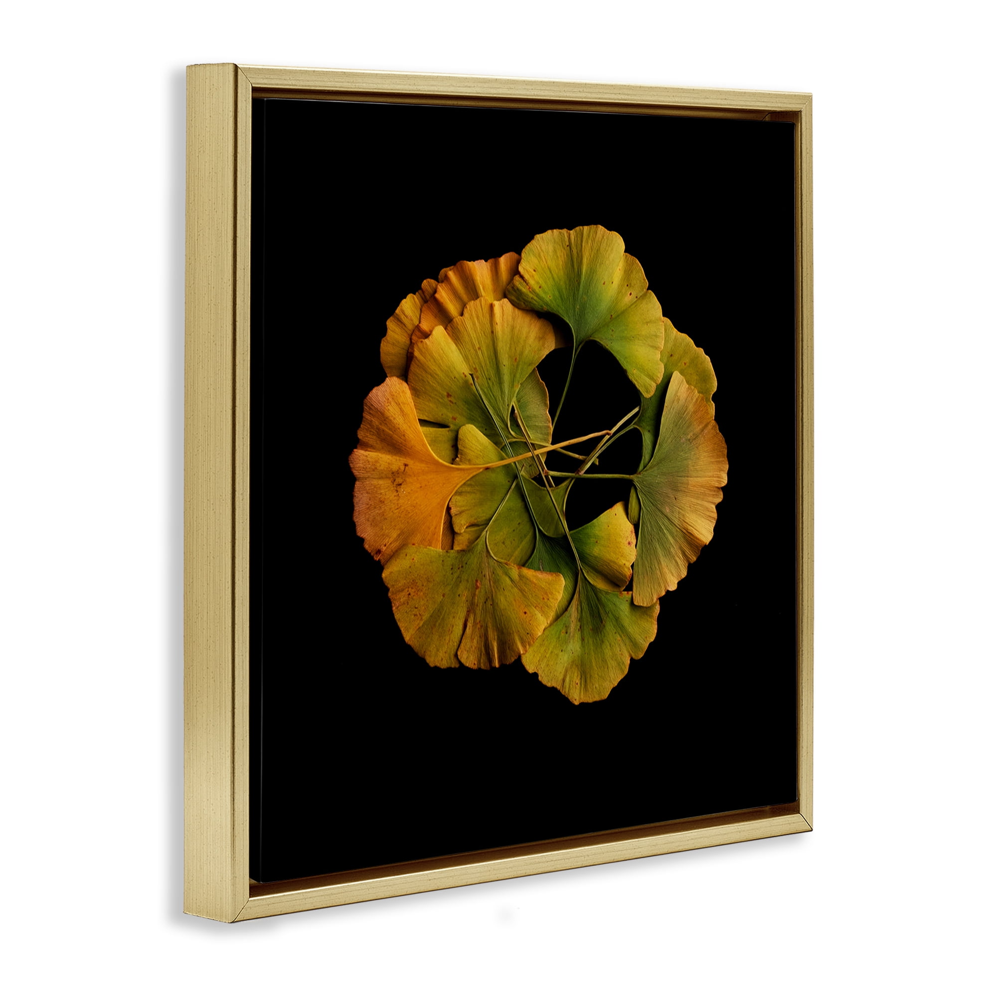 Stupell Industries Overlapping Ginkgo Leaves Gold Framed Floater Canvas Wall Art, design by Beth Adoette