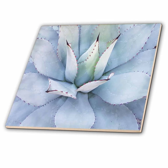 3dRose, Image of Beautiful Mexican Blue Cactus, 12 Inch Ceramic Tile