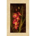 thumbnail image 2 of Seba, John 17x24 Black Ornate Wood Framed with Double Matting Museum Art Print Titled - Orchid, 2 of 4