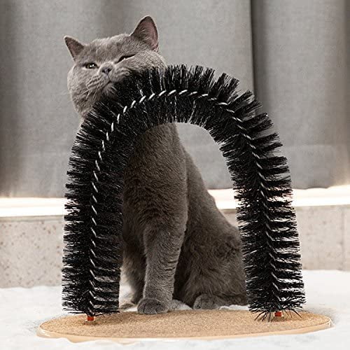 cat self grooming arch