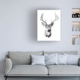 thumbnail image 3 of Emma Scarvey 'Young Buck Sketch III' Canvas Art, 3 of 3