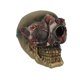 thumbnail image 1 of Everspring Resina Steampunk Masquerade Calavera Estatua Gótica Decoración para el hogar Estatuilla Escultura Arte Everspring SW-97, 1 of 4