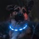 thumbnail image 1 of Collier Lumineux Pour Chiens, Collier De Chien Led Recargable Usb, Clignotant Collier De Scurit Rglable Pour Petit, Moyen Et Grand Chien, Bleu, 1 of 4