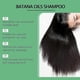 thumbnail image 4 of Batana Oil Shampoo with Rosemary Extract, Nourishing & Regenerating, Soft, Volumizing and Fluffy, Reduce Hair Loss Shampoo for Men & Women, 4 of 5