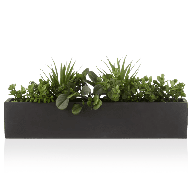 Bouclair Succulentes Vertes dans un Pot en Céramique