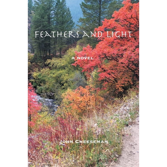 Feathers and Light (Paperback)