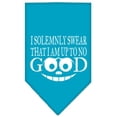 thumbnail image 5 of Pet and Dog Bandana Screen Printed, "I Solemnly Swear That I Am Up To No Good", 5 of 10