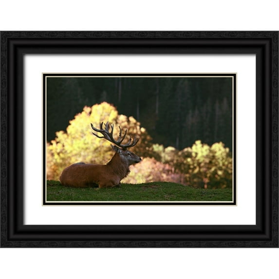 Weis, Gerhard 14x11 Black Ornate Wood Framed with Double Matting Museum Art Print Titled - Fight break