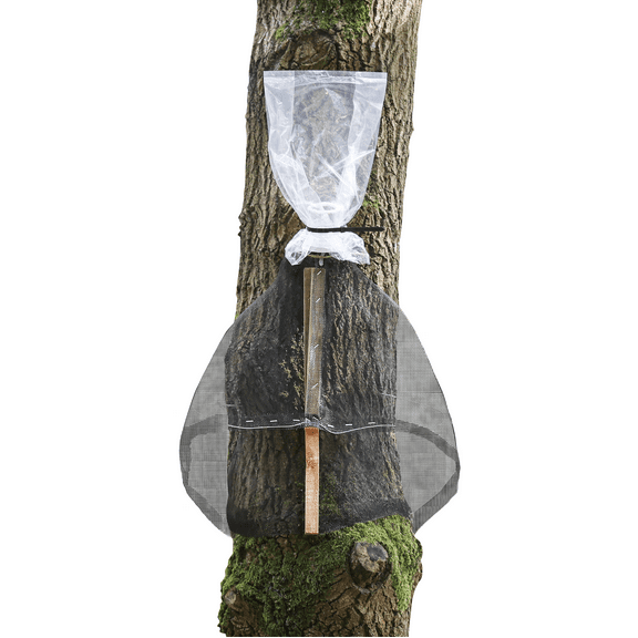 LanternFly Trap Co Tree Trap - Catch Spotted Lantern Fly Without Catching Other Wildlife - Made in USA
