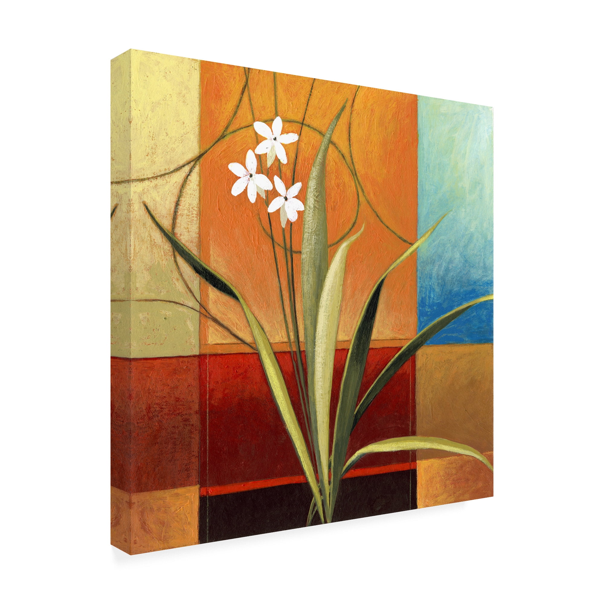 Trademark Fine Art 'Narrow Palm On Patches' Canvas Art by Pablo Esteban