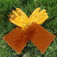 thumbnail image 4 of Guantes de cuero para jardinería con protección para el antebrazo, guantes largos para recortar rosas resistentes a pinchazos, 4 of 5