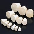 thumbnail image 3 of 5 tapones de goma blancos para tubos de ensayo (15 x 11 x 20 mm), 3 of 9