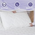 Waterguard Waterproof Pillow Protectors Zippered Bed Bug Pillow Cases