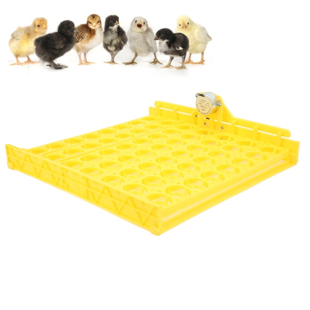 Catader De Aves De Corral Turner De Huevo 56 ABS Turner Automático De Huevo Para Incubadora De Huevo Automático, Balanceado A 45 Grados, Ensamblaje Fácil, 56 Piezas Con Bandeja