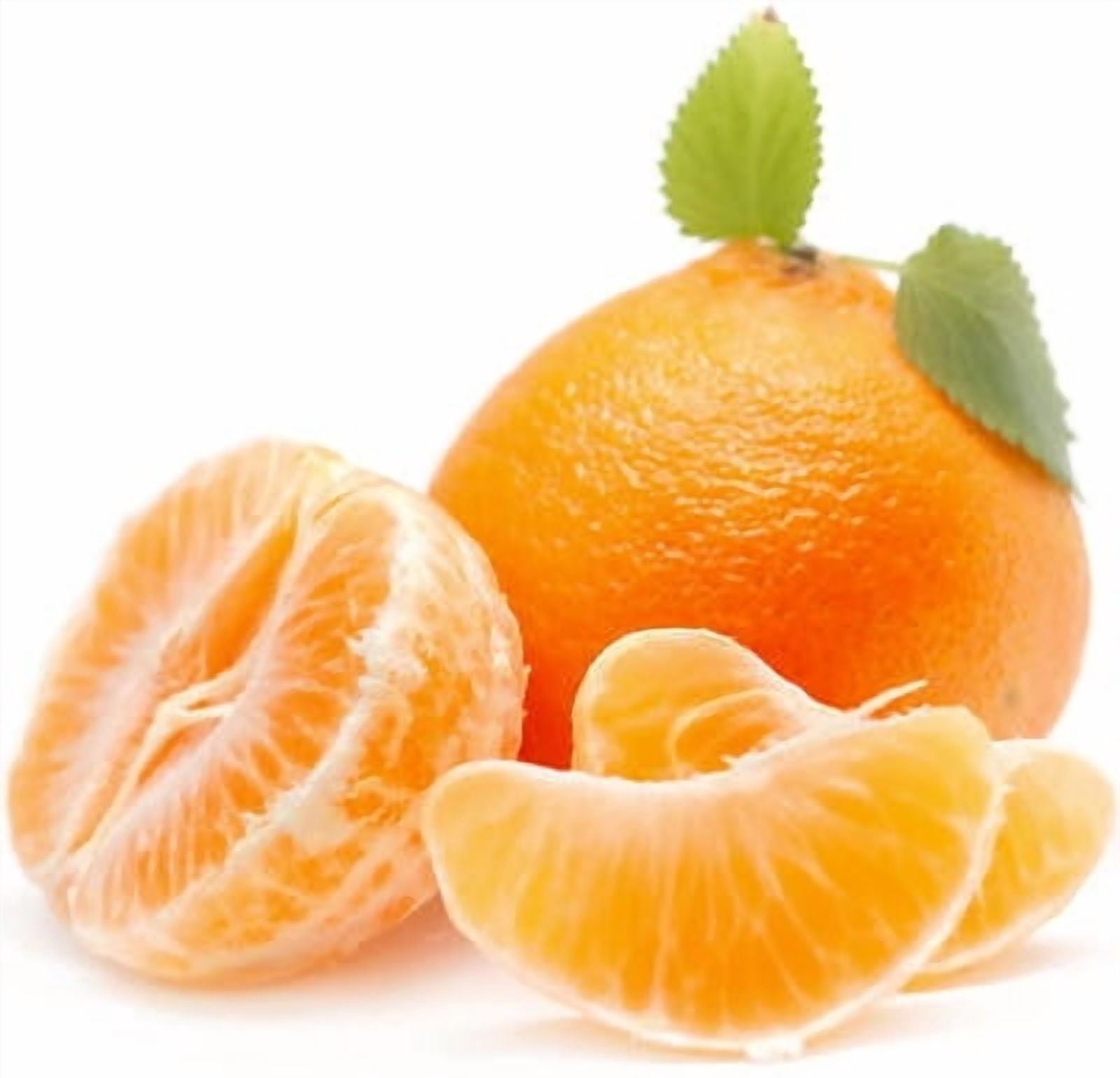 Orange Sweet Organic Essential Oil 1 fl oz (30 ml) - 100% Pure and Natural by Silky Scents