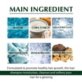 thumbnail image 4 of Champú Anticaspa ANGGREK Líquido Refrescante Control De Aceite 100 Ml, 4 of 7
