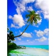 thumbnail image 2 of Reed, Jack 25x32 Black Ornate Wood Framed with Double Matting Museum Art Print Titled - Sanibel Island, 2 of 4