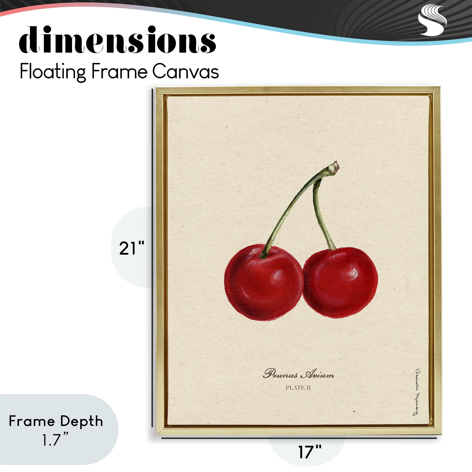Stupell Industries Cherry Fruit Portrait Gold Framed Floater Canvas Wall Art, design by Danielle Murray